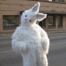 안성내츄럴리조트 이미지