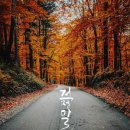 캘리그라피 입문과정 | 캘리그라피 입문과정 수료 후기