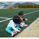 수진축구장 이미지