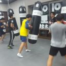 에이스복싱 이미지