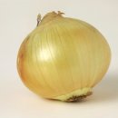 풀마니 이미지