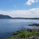 하도리 일번지 이미지