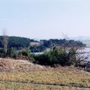 범방동 패총 이미지