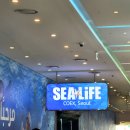 우림미디어 | 서울 씨라이프 코엑스 아쿠아리움 방문 후기