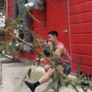 써트짐 | SFG Lv.1 써트 후기ㅣ비스트테이머의 여정 대구PT 몰리짐장기점