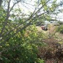 전대2리 이미지