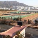 덕산매립장 이미지