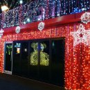 마중생태 이미지