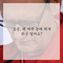 브이의원 네이버블로그