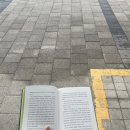 견생냥품 무인24시 봉담메트로점 | Piece❕