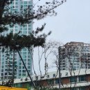 고무래로 63 (3) 이미지