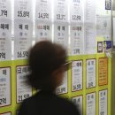 남지연합정보 이미지