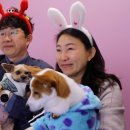 신바람농장 이미지