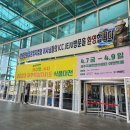 2023 식품박람회 &#34;제주 잇수다&#34; 첫방문후기, 선물꾸러미 구매리스트