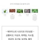 나라헤어토닉