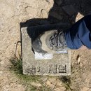 서산대진초등학교 | 서산 황금산(주차장~황금산~대진초교)
