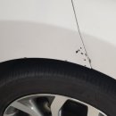 젠틀카외형복원