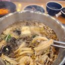 제주매니아