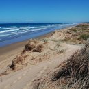 롱 비치 이미지