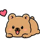 더화이트시스템