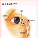 [오행] 안구건조증 원인 및 치유방법 이미지