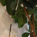 행운동-26 이미지