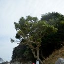 거제 `홍포해안`, `바람의언덕`, `신선대`, 자연을 품은 섬 `내도` 이미지