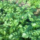 세심농장 이미지