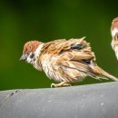 갯골근린공원 이미지