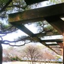 광땡 노래연습장 이미지