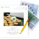 허브앤조이대부도점