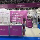 덴탈 푸르고 이미지