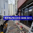 제주캐노픽스 이미지
