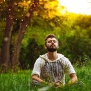 원예,미술치유 이미지