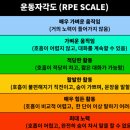 RPE10 네이버블로그