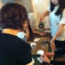 지소현커피나무