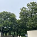 삼만원 | 제주) 씨제이 임직원 숙박 가능 숙소 나인브릿지 이용후기