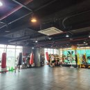 서산Y복싱클럽 이미지