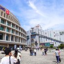 원웨이랩 | 후쿠오카 여행 코스 팀랩 포레스트 가는법 입장권 예약 관람 후기