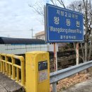 왕동천 네이버블로그