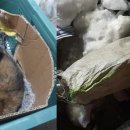 코인스테이지동전노래연습장 이미지