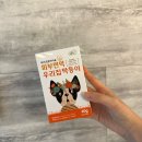 우리집 막둥이 | 우리집 막둥이 피부건강 유산균 영양제 30포 후기