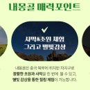 별빛여행사