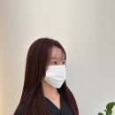 벨디느