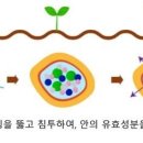 애경개발 이미지