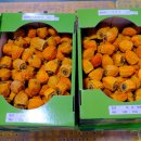 영동농업협동조합 이미지