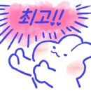 카쥬투어 네이버블로그