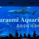 츄라우미 - 강남구 언주로93길 21 | 츄라우미