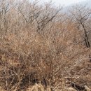 노고단-4 이미지