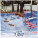 덕수궁 | 서울 도심 속 겨울 산책 명소 덕수궁 방문 후기